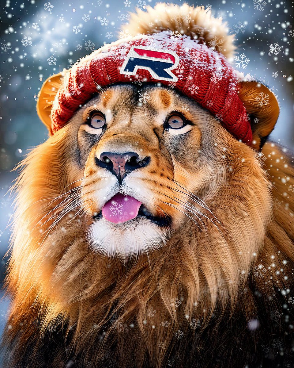 Winter has arrived, and ROARY’s making the most of it. ❄️🦁

#ROARY #ROARLogistics