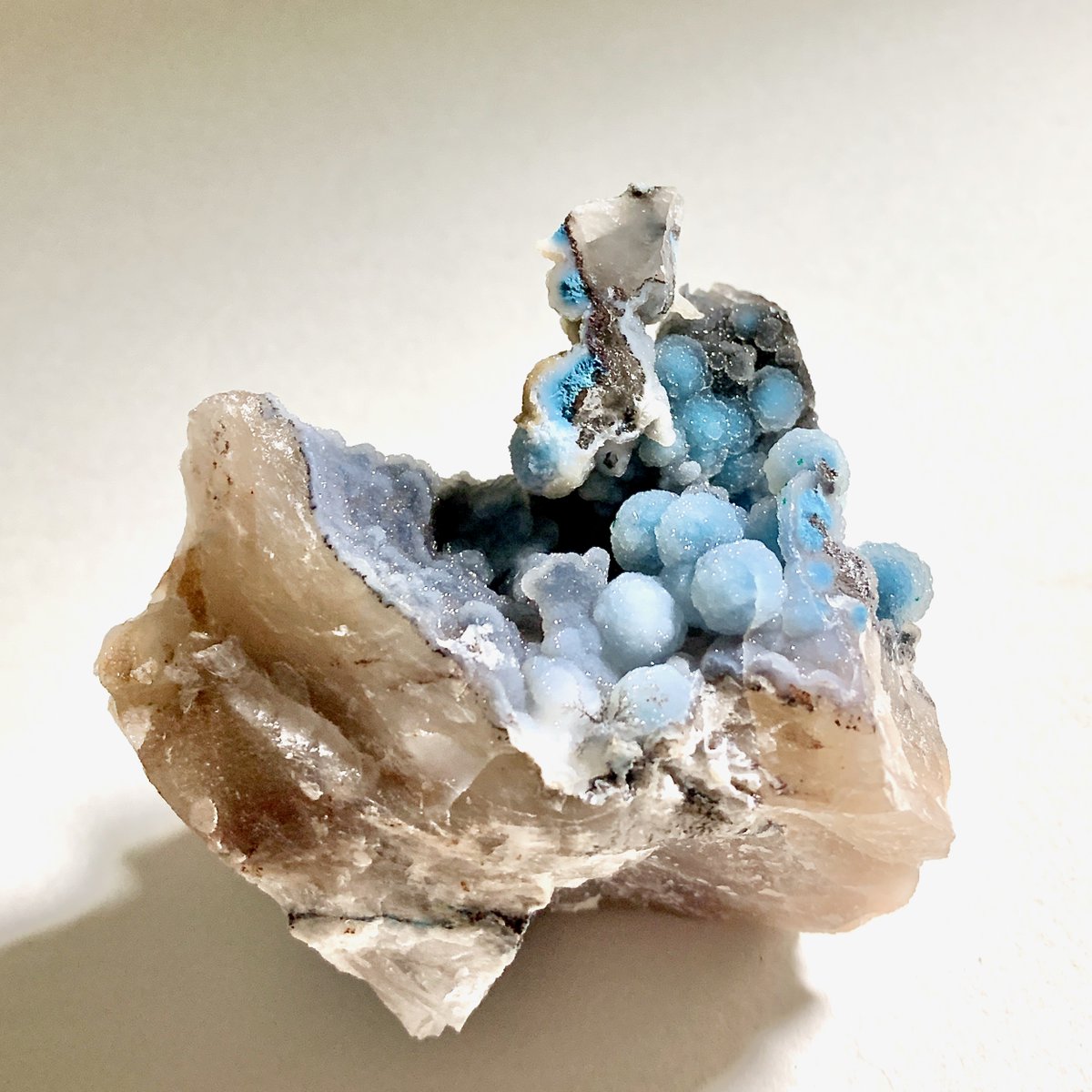 カズホ (@kxhmkmi) / Posts / X