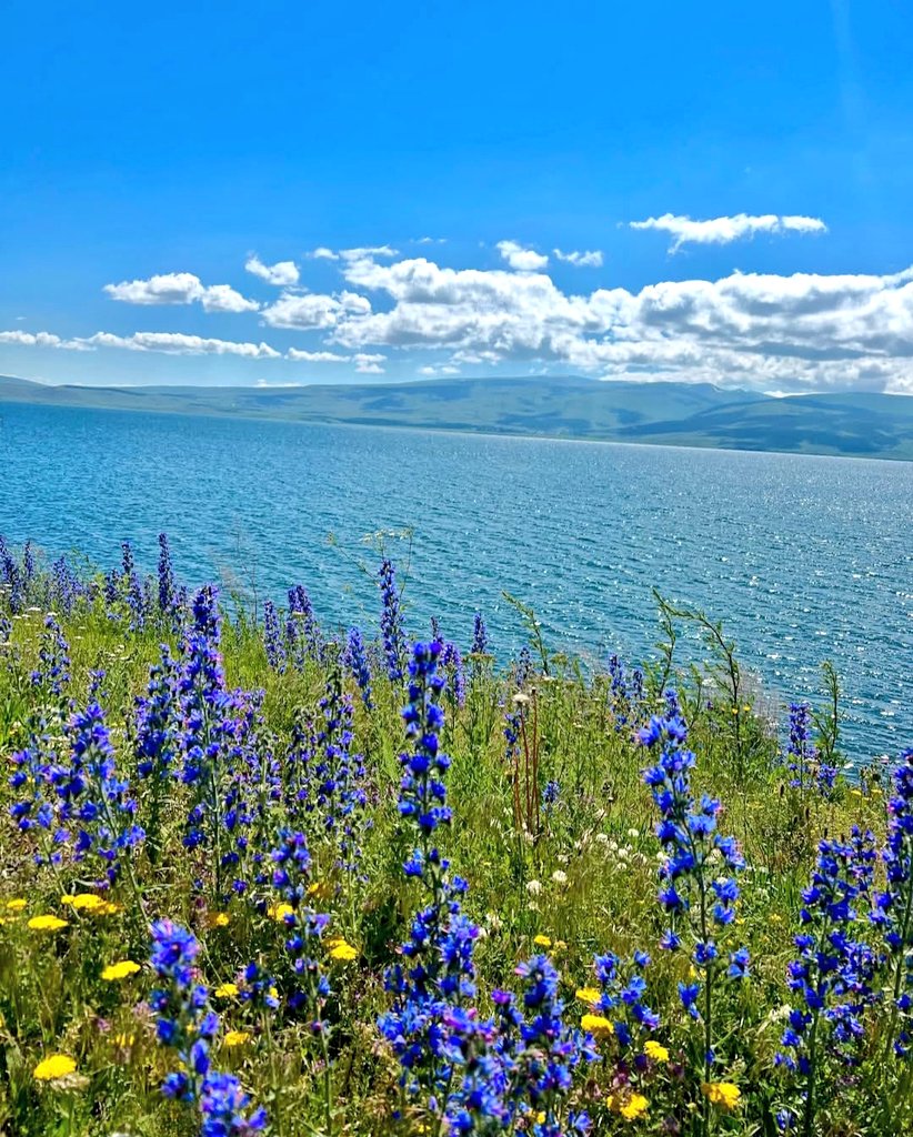 Fabiana54091377's tweet image. #Norway #New #Zealand #Netherlands #Holland