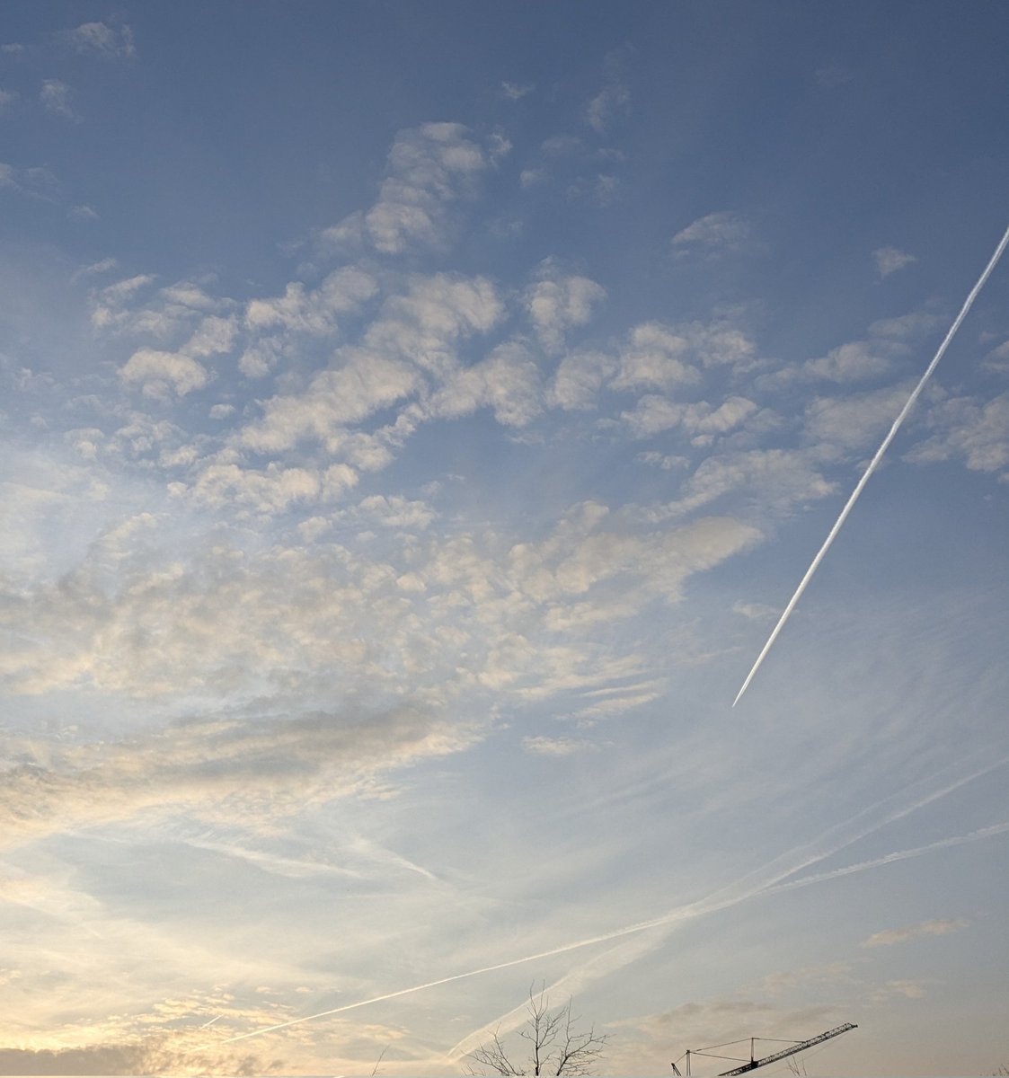 En zo gaan we de 'heldere' nacht weer in, de lucht op vlieghoogte wordt weer dicht gesmeerd met #vliegtuigbewolking. En ons weerbericht?
Die kijken toch allang niet meer omhoog...