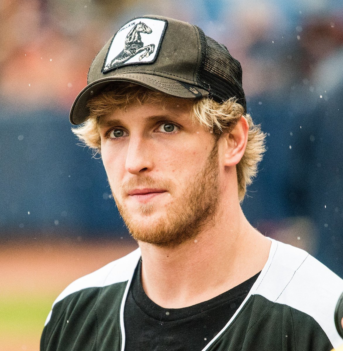 Stats Globe tweet media