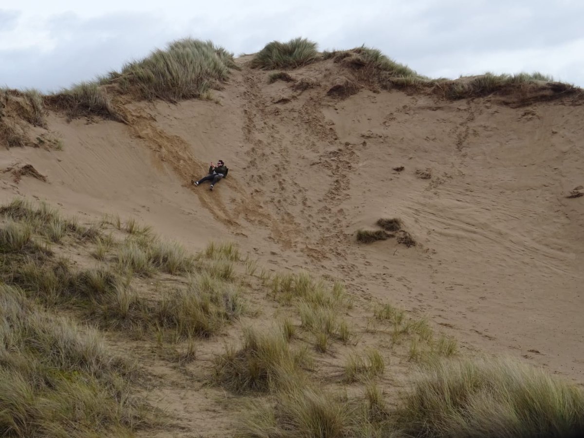 Earlhotdog tweet media