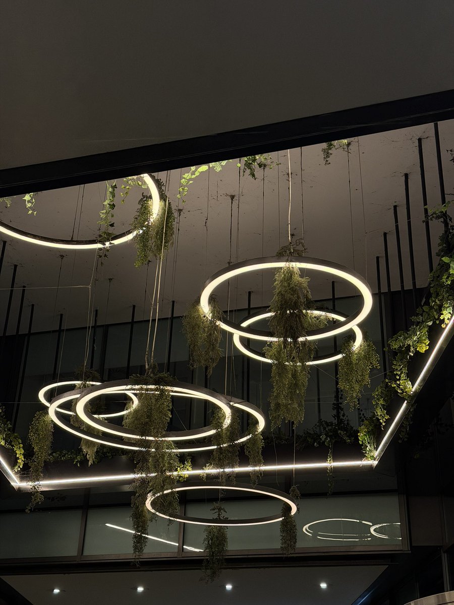 Fresh payouts
Family time 
New year coming up. 

Nothing left to do, but pray