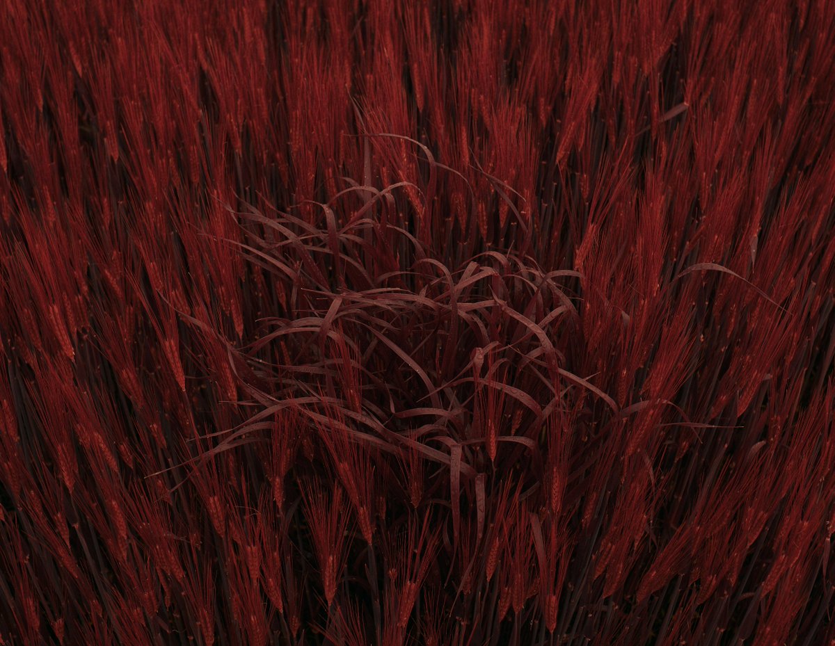 𝔸𝕃𝕏 𝕍𝕀𝕃𝔻𝕊𝕌ℕ ▫️Artist 🔺 tweet media