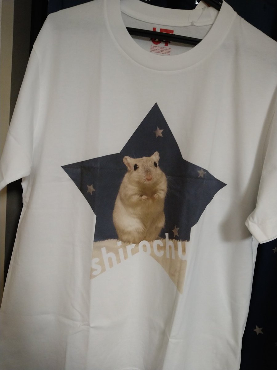 オリジナル作品　ネズミ Super RatSuper Rat|Chim↑PomChim↑Pom