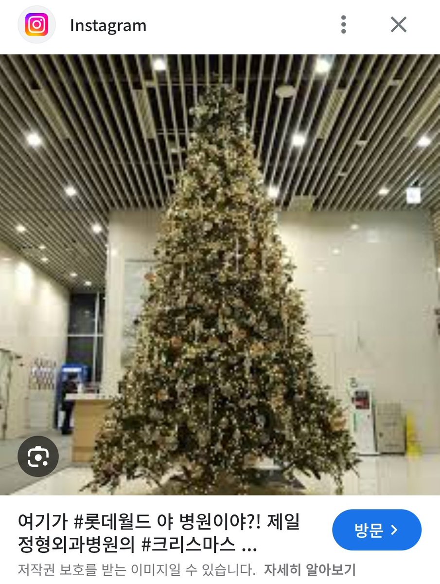 트리 예쁘다 생각했는데...🥲