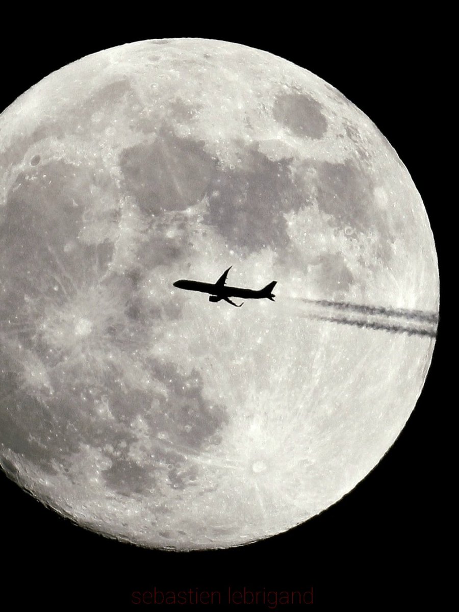 Airbus A321 Condor Airlines 🇩🇪 D-ANMY (Gran Canaria 🇪🇦 - Dusseldorf). Photo : <a href="/lebribri/">sebastien lebrigand</a> (France)