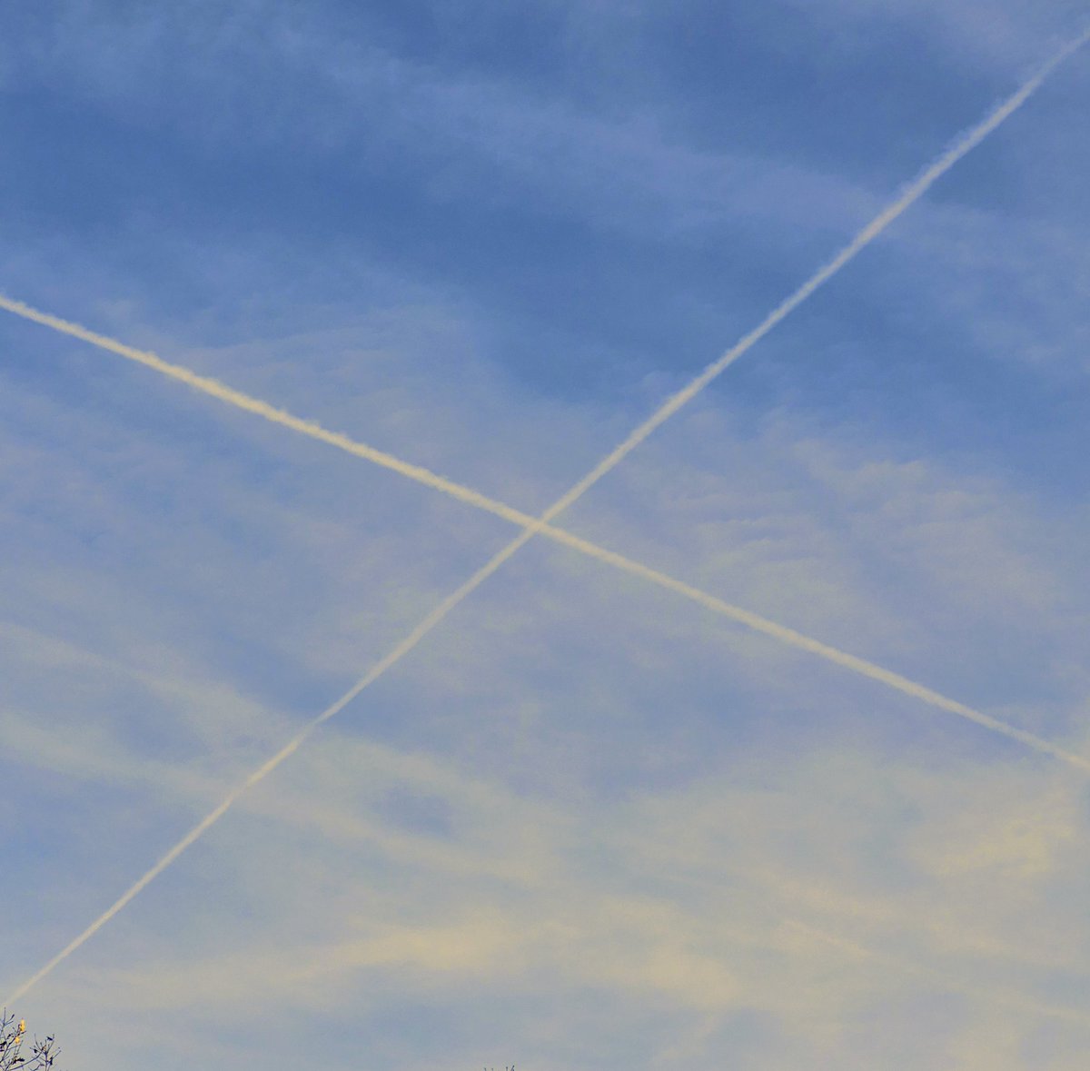 Mone 🖖 tweet media