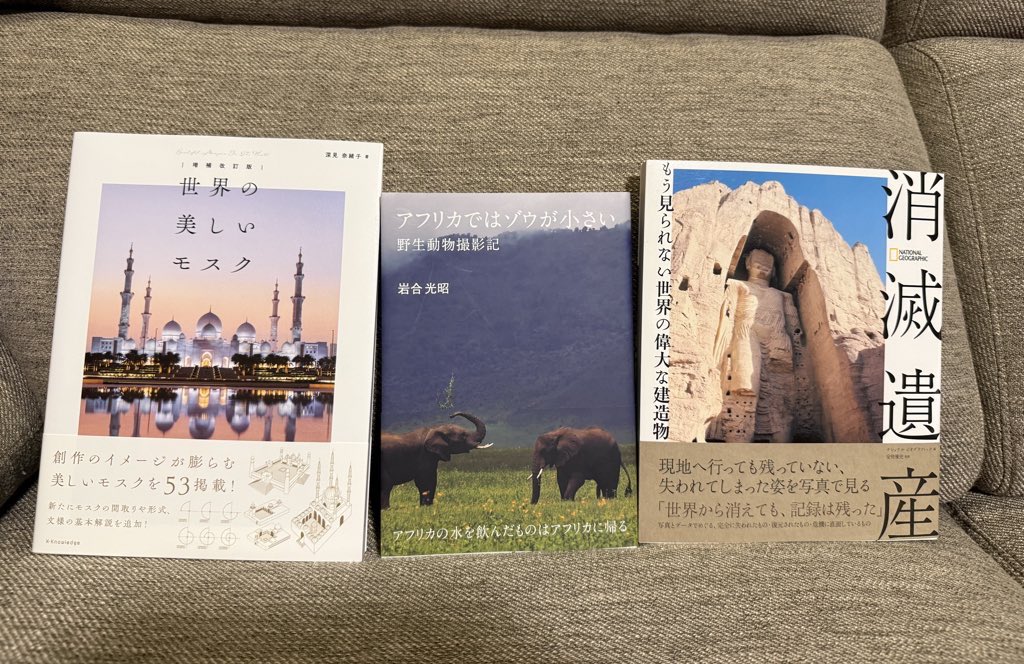 大人のクリスマスはね、普段欲しいけど我慢してる本とか買ってもいい日📕