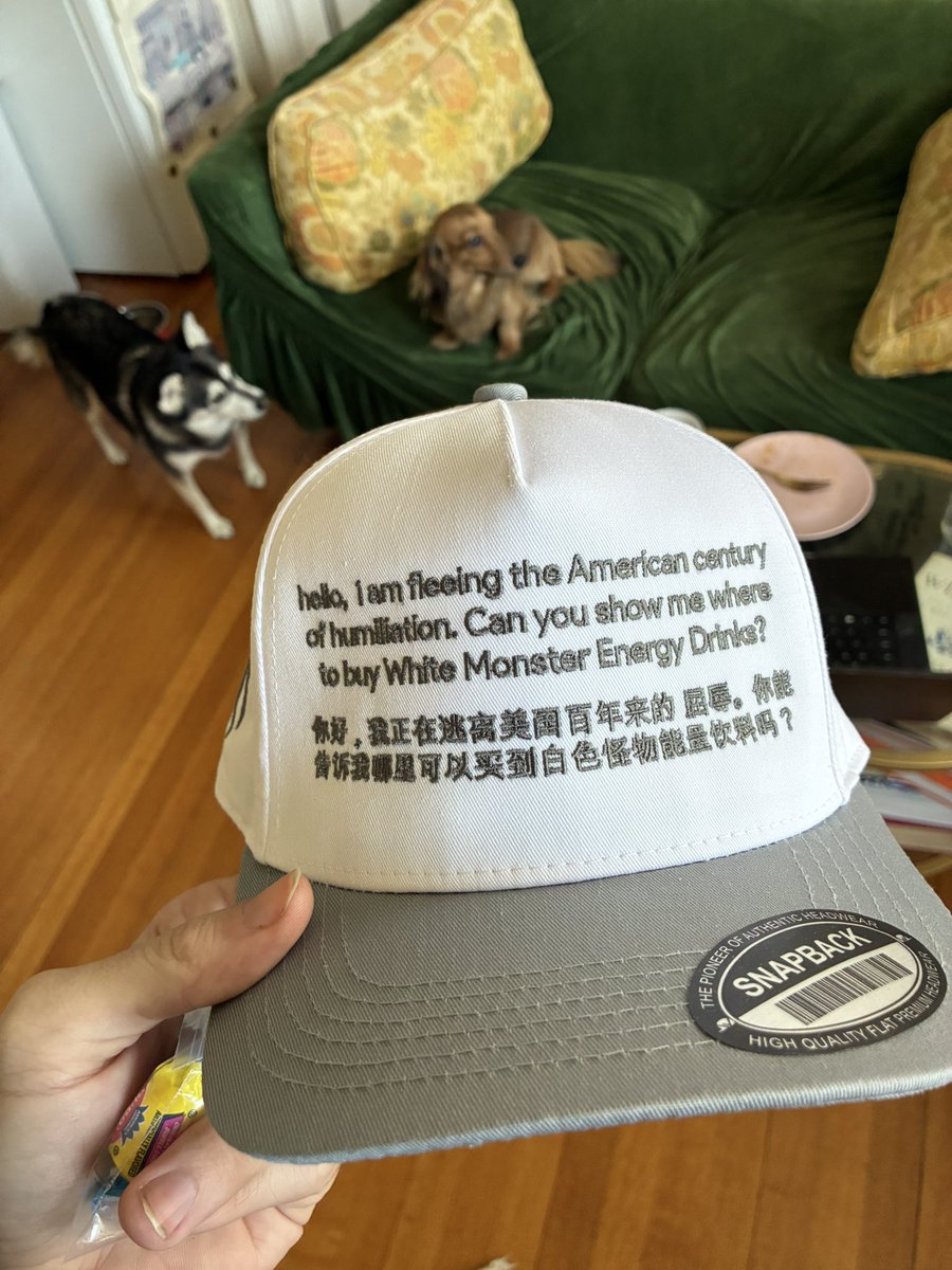 pli_cachete's tweet image. Bruh which one of yall sent me this 😭