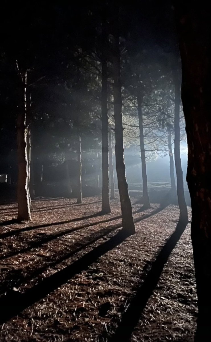 Biriyle küsmüştük ve ben haklıydım,

sonra o öldü haklılığım bana yük kaldı. 

İyi akşamlar 
🤍☕️