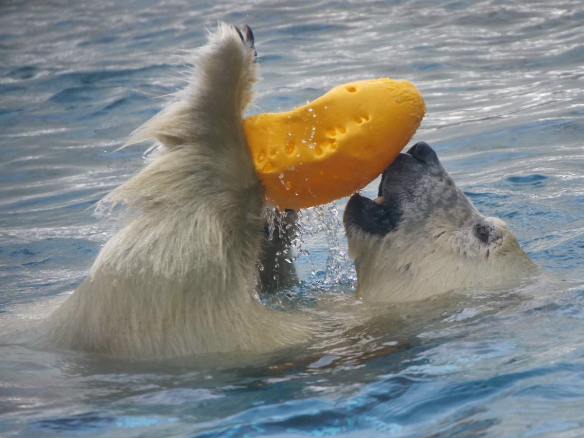 リラ ちゃん💛