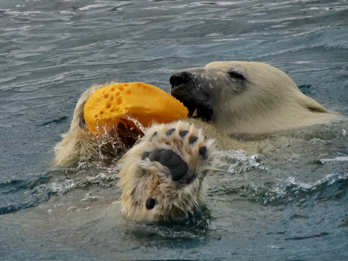 リラ ちゃん💛