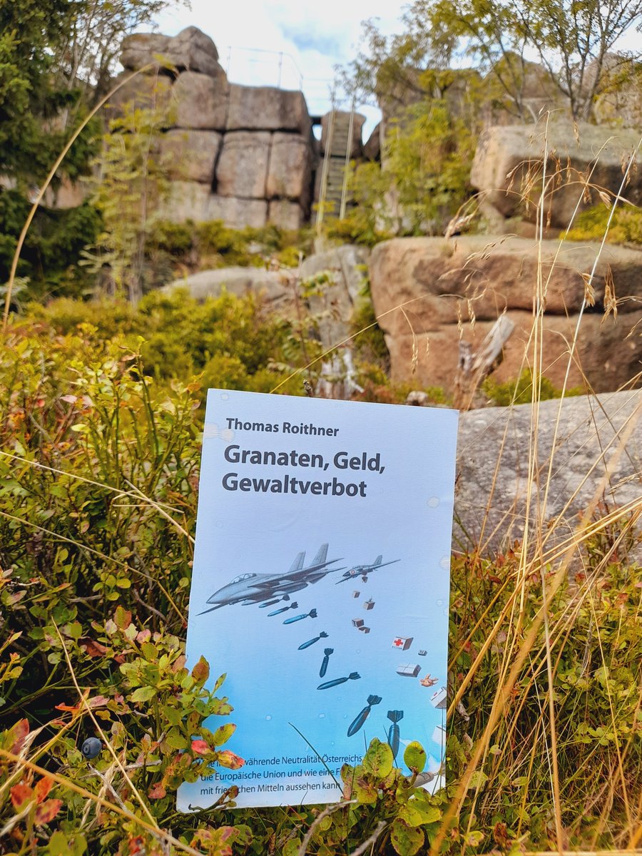 Thomas Roithner tweet media