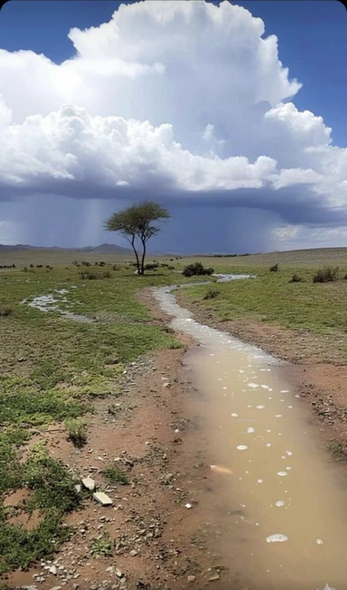 ‏مشعل𓍼ོ ‏ tweet media