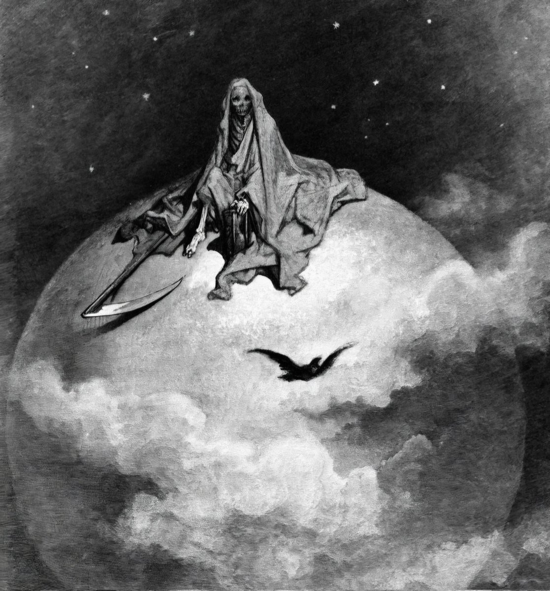 Noviembre Nocturno tweet media