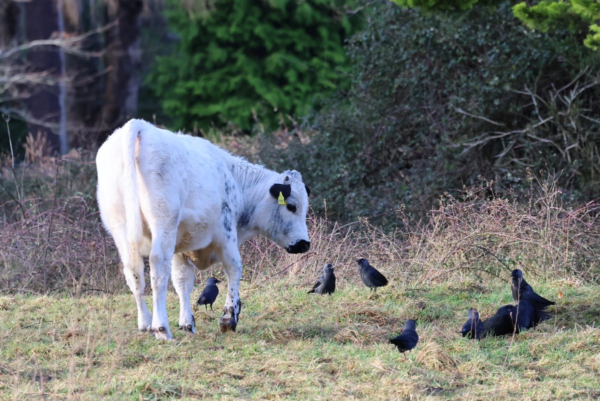 David Betts tweet media