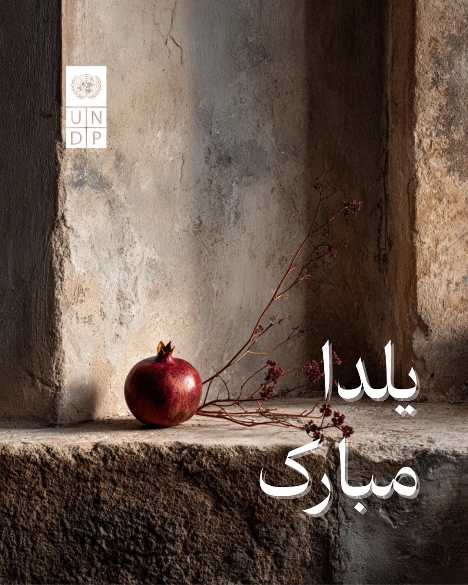 UNDP Iran tweet media