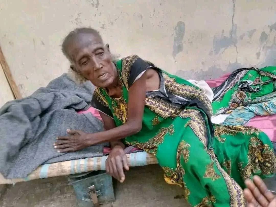 Hamesa_Tsegemat's tweet photo. In this area,where IDPs are trapped by famine, the TPLF is reported to have extracted 250 billion birr from gold mining, while Tigray’s annual budget is only 12 billion.TPLF claims that the IDPs refuse to return without them,highlighting how our ppl are politically held hostage. https://t.co/8QBYiSaLAl