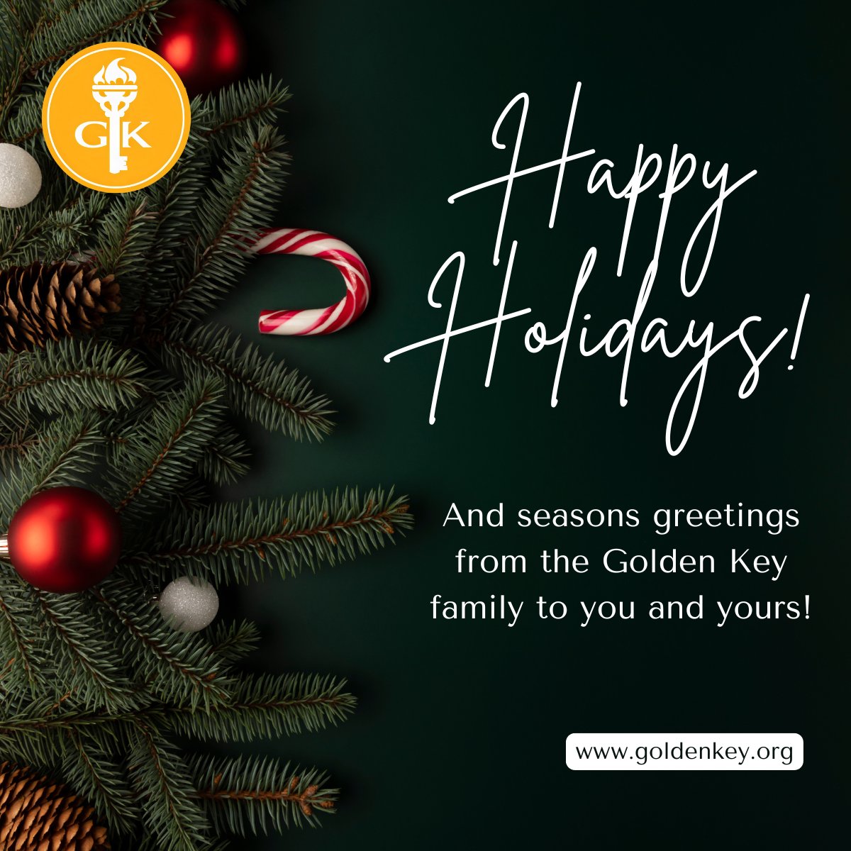 Happy Holidays from GKSA to you and yours 🎄✨

Wishing you a season of rest, joy, and reflection as we look ahead to a bright new year together.

#yesGK #HappyHolidays #SeasonsGreetings #FestiveSeason