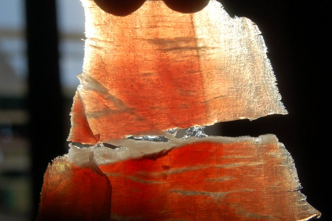 atasteofspain's tweet image. Enjoy the world's best #ham visiting a family-run #Ibérico #pig #farm in the beautiful Aracena Natural Park 👉atasteofspain.com/destination/ib…
#food #tour #Andalusia #Spain #sustainability