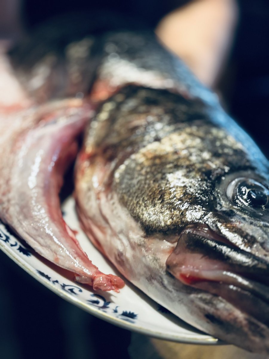 Eric Vernacci tweet media