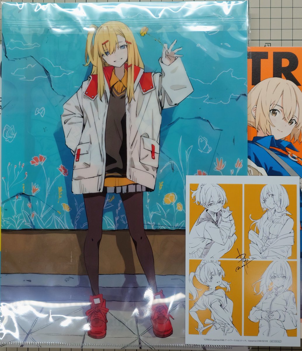 と言うわけで、衝動買いしたもの。 画集「CITRUS」と「CITRUS2