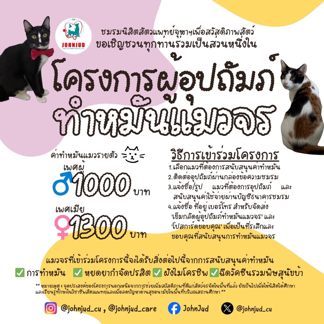 johnjud_cu's tweet image. “โครงการผู้อุปถัมภ์ทำหมันแมวจร” รอบวันที่ 21 ธันวาคม 2568 🐈🐈‍⬛💞

💫 ขอเชิญชวนผู้มีจิตศรัทธาสนับสนุนการทำหมันแมวจร ร่วมบริจาค “ค่าทำหมันรายตัว” เป็นจำนวนเงิน 1,000 บาท(เพศผู้) หรือ 1,300 บาท(เพศเมีย)