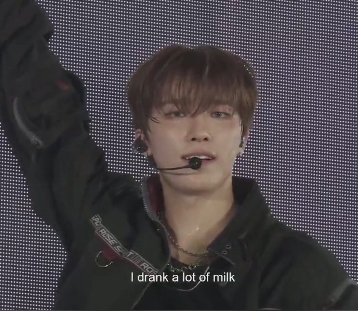 🦦: let me hold the stage too!
🐶: aren’t you small for it?
🦦: i drank a lot of milk !!