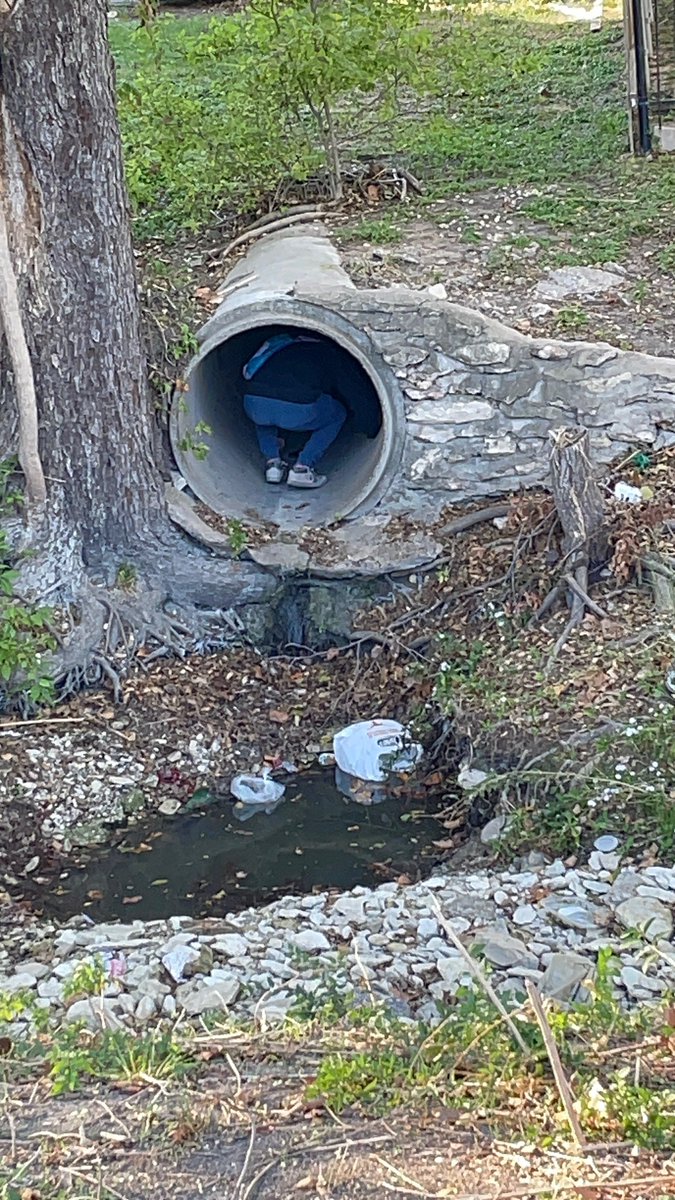 Deithryn tweet media