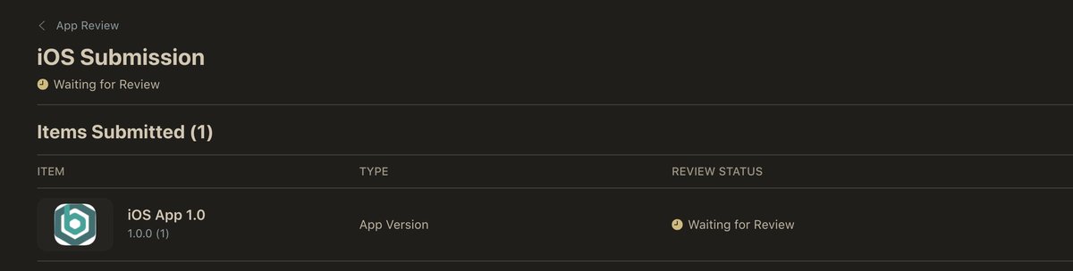 Finally submitted the iOS app for review after going through all the strict checks. 
Some of them really feel unnecessary, but this is Apple so you just follow the rules. 
Now waiting for the review results and ready to fix whatever they send back. Fingers crossed.  🤞🤞