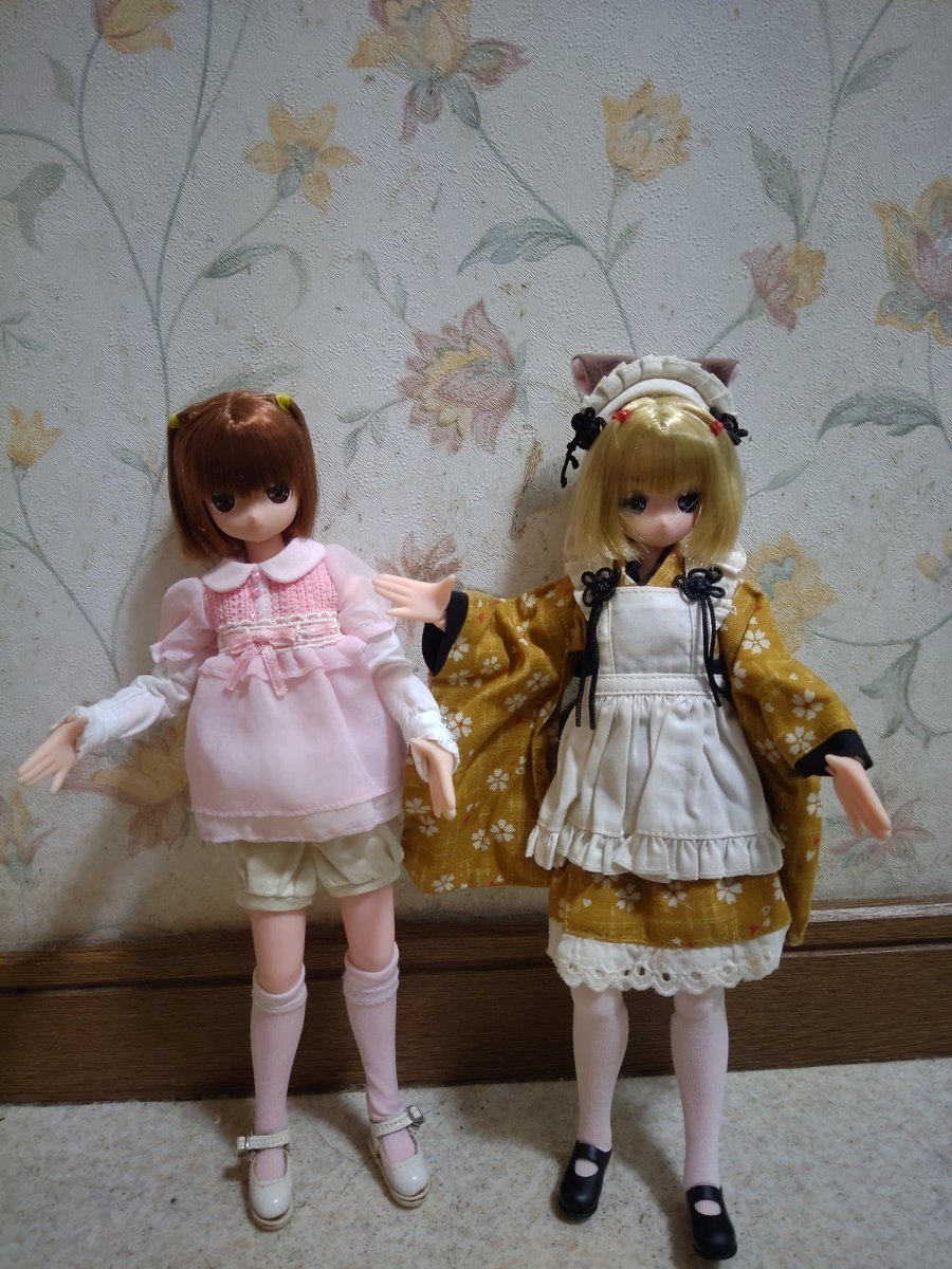 2025 12/12 にーもちゃん誕生日おめでとうございます🎉これからもよろしくね😊遅くなってごめんね🙇
#アゾカツ #アゾン #アゾンドール #azone #azonejp #azonedoll #ぴぴからっと #ピュアニーモ #にーもズ生誕祭り #にーもちゃん誕生祭 #にーもちゃん生誕祭