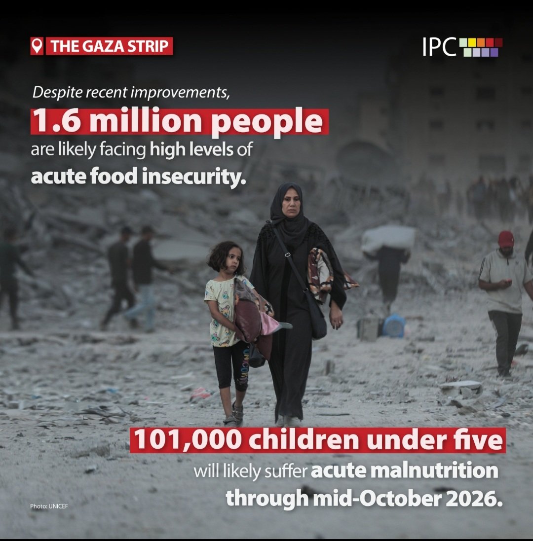 Die harsche Realität in #Gaza.

Fast jeder Achte in Gaza leidet nach Angaben der Vereinten Nationen (#UN) weiterhin unter #Nahrungsmittelknappheit. Die anhaltende #Hungersnot sei durch die Überschwemmungen im #Winter und das kältere Wetter noch verschlimmert worden.

Weiter