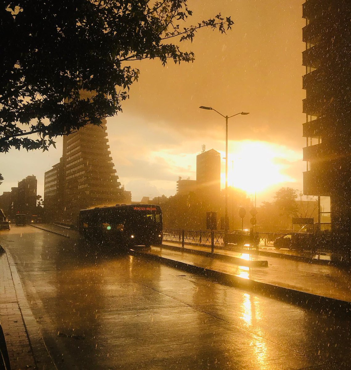 JavierDlacuadra's tweet image. Más allá del debate. Cuando vi esa desafortunada imagen falsa de Transmilenio creda con IA, inmediatamente recordé que mi amigo, el periodista @Colmeneirors había tomado una real del Transmilenio bajo la lluvia al atardecer. Comparándolas, no puedo dejar de pensar en que la foto…