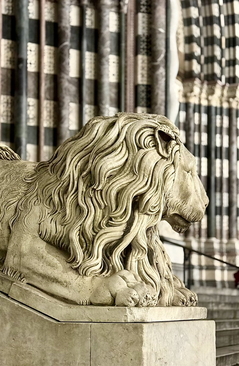 𝓻𝓮𝓪𝓵𝓭𝓪𝓷𝓷𝓷𝓪𝓵𝓮𝓼𝓼𝓪𝓷𝓭𝓻𝓸🐬 tweet media