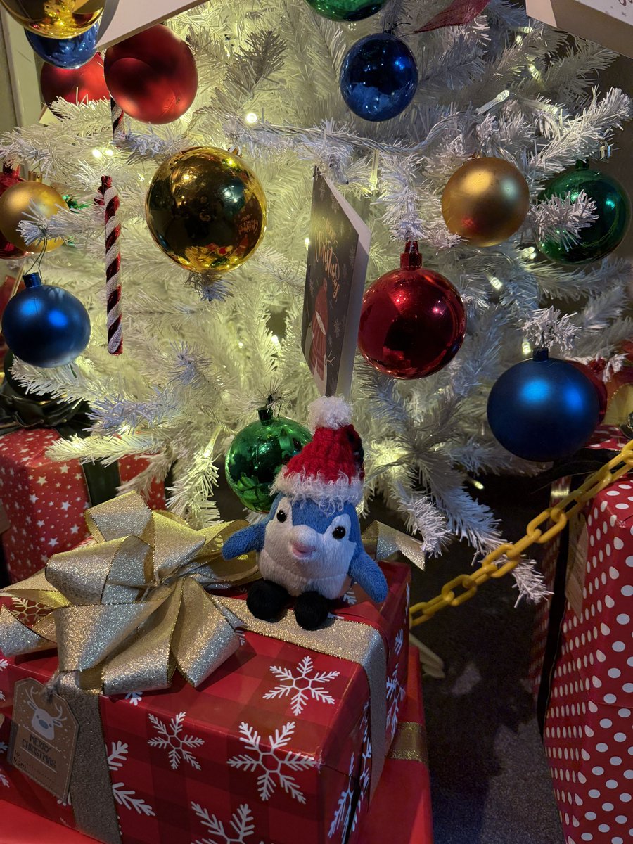 スタッフさん手作りのしなフィンのサンタのお帽子がかわいかったので撮らせていただきました✨
このしなフィン欲しかったんですが、売り切れでした🥲
(カレンダーのために2000円分何か買わないとで候補だったの…)