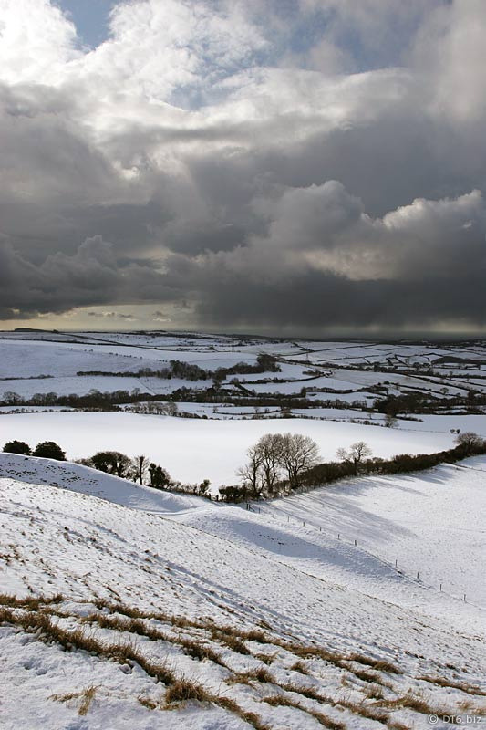 AnneLouiseAvery's tweet image. The Twenty-first Window. The Stinting of the Sun is not a safe time, said the Newcomer to Old Fox. 
They were sitting high on Pooksdown Hill, leaning against the slope of the round barrow and looking out across the snow-palled land, hatched in dark thorn and hazel, little plumes…