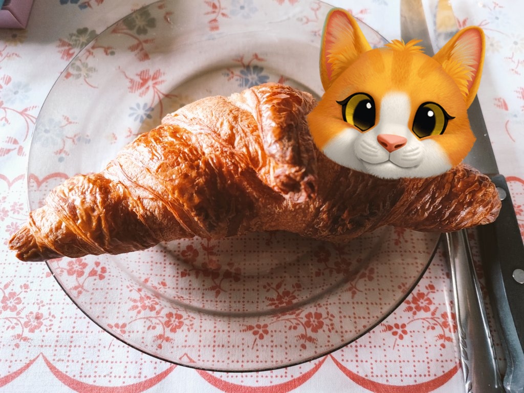 neko21957's tweet photo. サックサクの甘々、クロワッサンとパン・オ・ショコラ！うおおおんん！美味しすぎていっぱい食べちゃうよ。
海外のパンは最高だぜぇ！！朝昼ご飯で食べたー！夕飯も楽しみ。 https://t.co/24kMcJzXIP