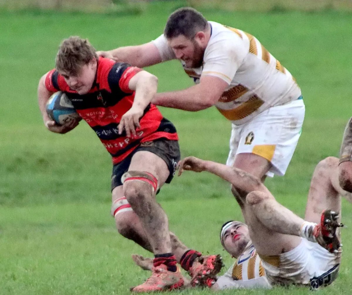 Wellington Chiefs are still searching for their first win of the season after defeat at home to Crediton yesterday but at least had the consolation of picking up a bonus point.
Match report and photos via this link: tinyurl.com/mr6x3x8r

<a href="/WellyRFC/">WellingtonRFC</a>