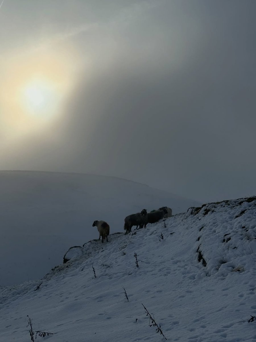 yarndale's tweet photo. Happy Winter Solstice. On the shortest day we look forward to brighter and longer ones. Not much daylight today so the perfect excuse to stay home and hook up a little magic - still making Christmas presents here! https://t.co/yhDTfi3s80