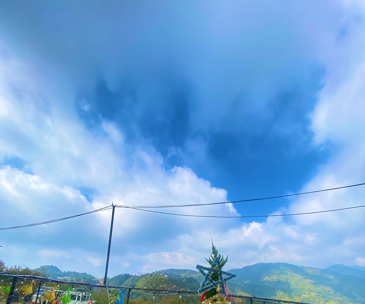 ⋆˚✿Evaaa𐙚⋆˚ tweet media