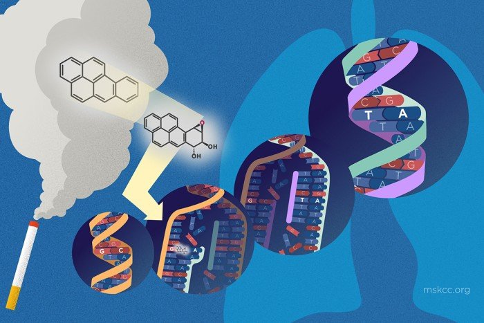 AbayisengaOliv3's tweet photo. 6th #CancerTips
Tobacco’s carcinogens directly mutate DNA and weaken immune defenses.Alcohol breaks down into acetaldehyde,which destroys DNA and raises cancer-linked hormones.Alcohol acts as a solvent,helping tobacco’s toxins enter cells more easily dramatically increasing risk https://t.co/KpZX6PjWgG