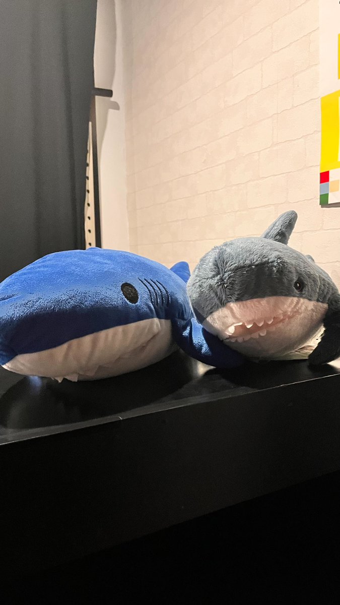 漂流した救命ボートからの脱出開催中🚣‍♀️ このゲームでは実際に救命