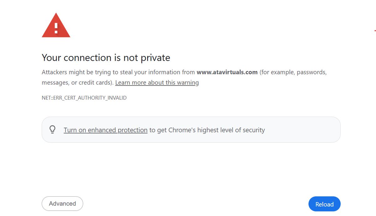 xingsong8888 tweet media