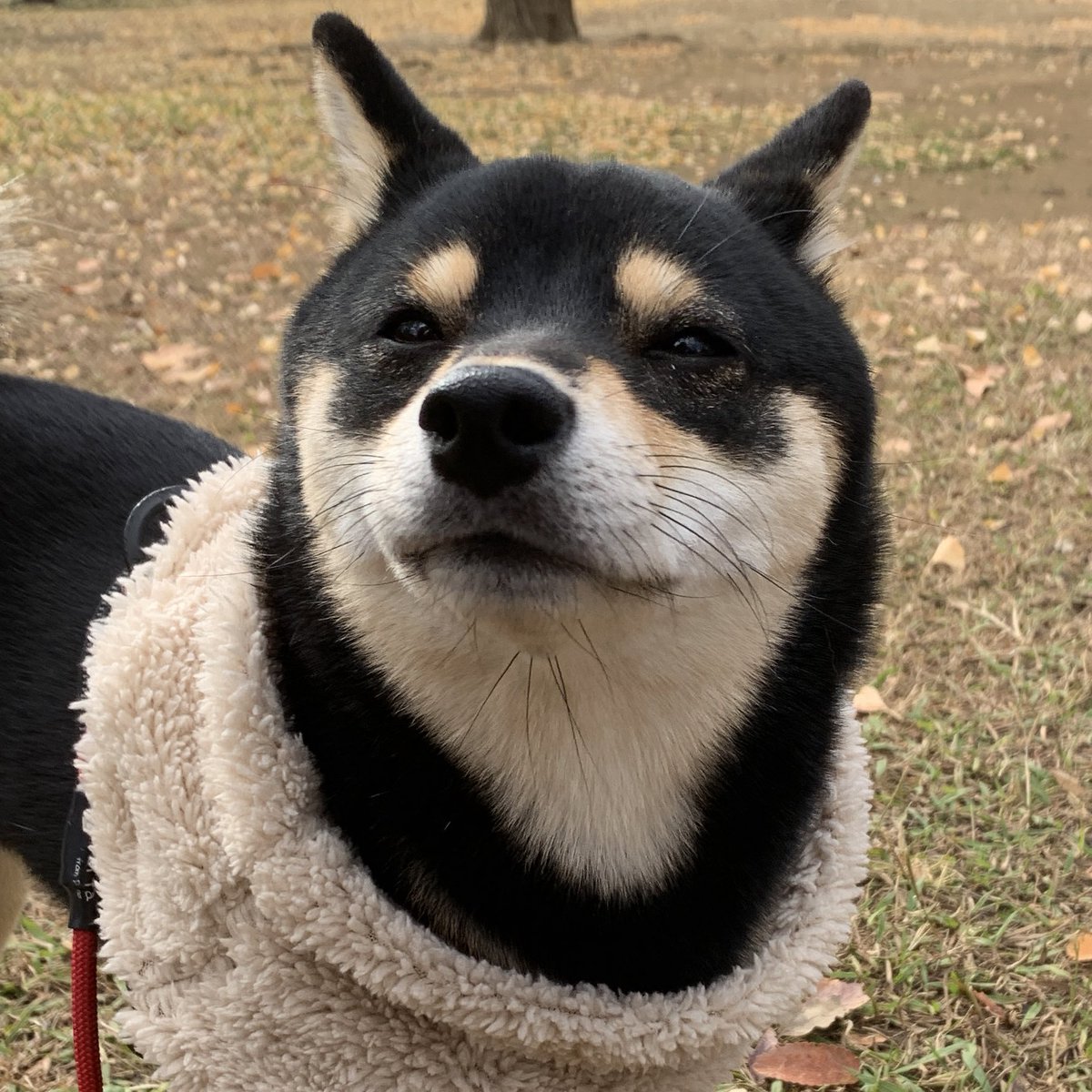 今日はそんなに寒くなかった