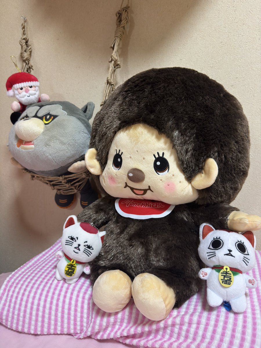 akemi 🐺(￢з￢) (@akemi67321412) / Posts / X