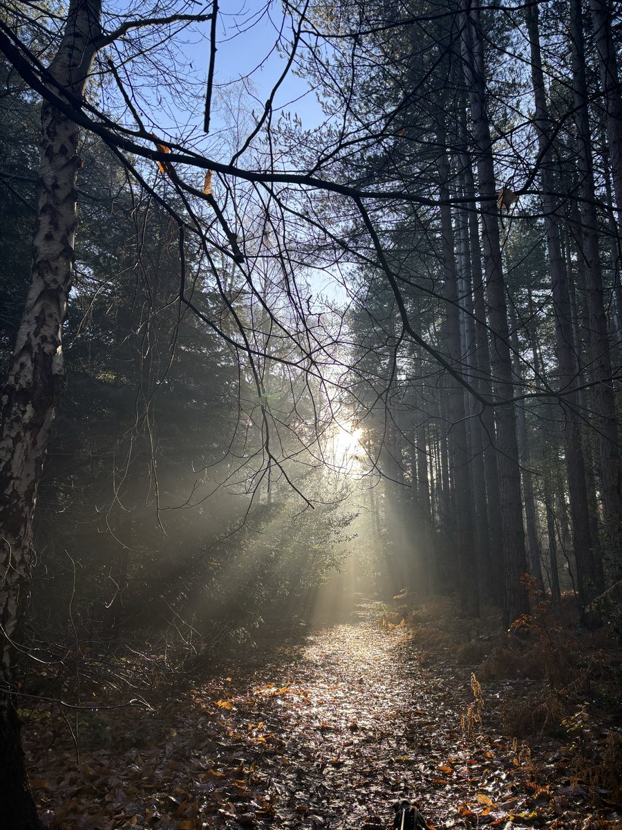 #WinterSolstice love that we’re on the way back to lighter days.