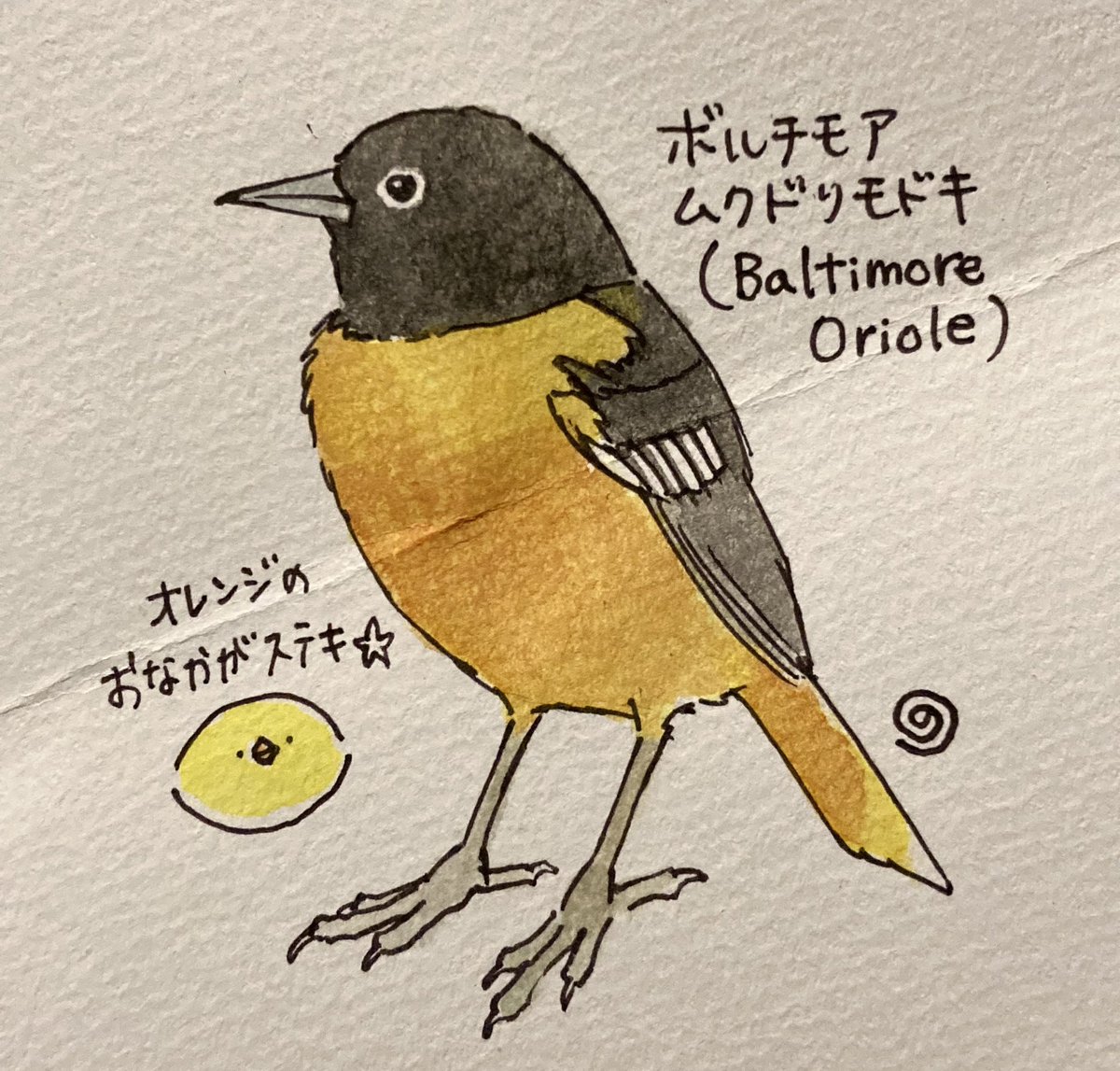 お気に入りのコップがありまして。そのコップに描かれていたのが