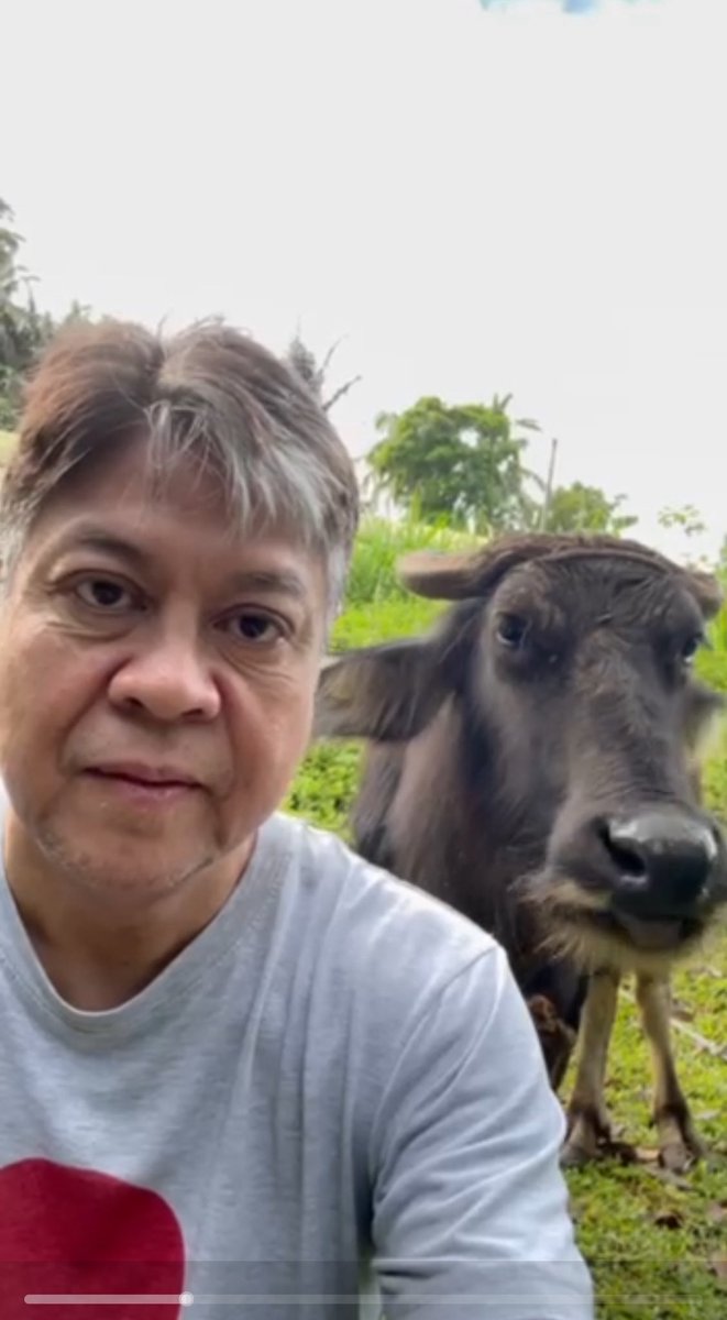 kikopangilinan's tweet photo. Lumapit siya sa akin habang nakaupo ako, kaya naisip ko makipag selfie❤️🙏👍🏽. 😁😁😁

#KaliDamulag https://t.co/yJWB4PwwHt