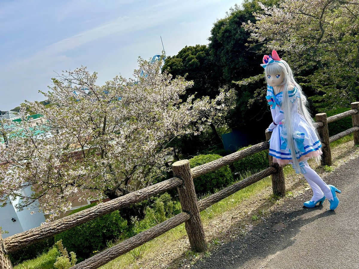 わんちゃん (@wankotkt) / Posts / X